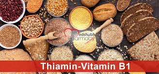 Thiamin (also called vitamin b1) helps turn the food you eat into the energy you need. Thiamin Vitamin B1 Lal Path Lab Noida Medshubh Healthcare