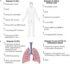 Page 5 of 8 tan thung keat tan tock cheng tan tsang, paul tan wah lian tan wan tung tan. Frontiers Neutrophils And Covid 19 Active Participants And Rational Therapeutic Targets Immunology