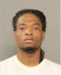 ᐅ Illinois Criminal Records 2009-2025