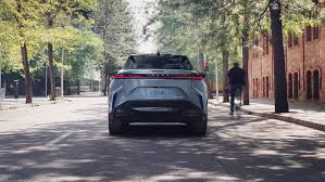 Image result for Black Onyx 2024 RZ