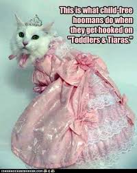 Princess By Proxy Trans Species Variation I Love Cats Princess Kitty Bad Cats