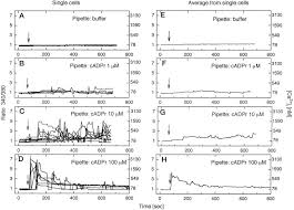 A sugar backbone attached to adenine and two phosphate groups. Ca2 Entry Induced By Cyclic Adp Ribose In Intact T Lymphocytes Journal Of Biological Chemistry