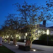 Drive Over Led In Ground Luminaires Bega Landscape Lighting Bega Tree Lighting