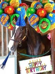 gluckwunsche geburtstag lustig gluckwunsche geburtstag geburtstag gratulieren