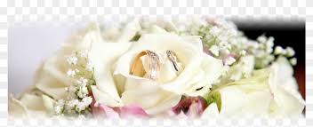 Take a look at these beautiful wedding pictures for inspiration and ideas. Png Bridal Bouquet Wedding Rings Png Flower Transparent Png 960x353 3631602 Pngfind