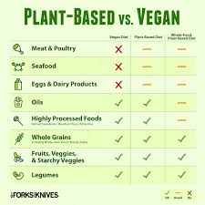 Plant Based Diet Vs Vegan Diet Whats The Difference