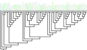 Image result for Dialium holtzii