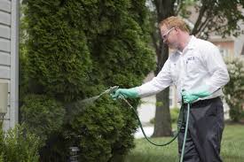 Click Here For More Information On Our Website Http Www Blackwaterpestmanagement Com Au Lab Coat Nepean