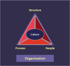 Block Diagram Types Of Individual Behavior In Organization