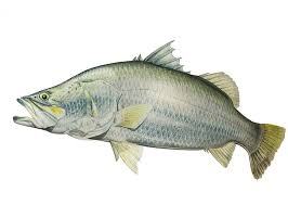 Pin On Art Illustration All Kinds Of Fish In The World With Other Aquatic Creatures