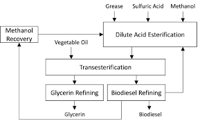 process flow diagram for biodiesel production redrawn on