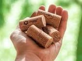 G3 Enterprises | Wine Corks for Winemakers and Bottlers | Wine Corks