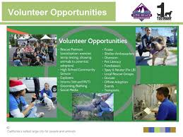 Maybe you would like to learn more about one of these? Long Beach Animal Care Services Open House Moving Forward With Strained Resources The Hi Lo