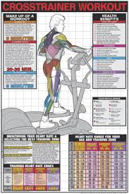 Elliptical Cross Trainer Professional Cardio Fitness Gym Wall Chart Poster Ebay