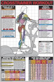 elliptical cross trainer professional cardio fitness gym wall chart poster ebay