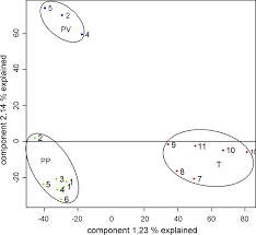 cancers of the throat can include cancerous growth on several organs, including the entire throat (pharynx), the vocal cord area (larynx), or tonsils. Malignant Pleural Mesothelioma Genome Wide Expression Patterns Reflecting General Resistance Mechanisms And A Proposal Of Novel Targets Lung Cancer