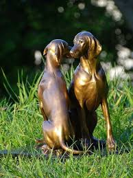 Dana Perino You Need This Henry And Jasper The Best Part Of The Jasper Story Is The Beginning Of The Jaspe Vizsla Dogs Most Beautiful Dog Breeds Lucky Dogs