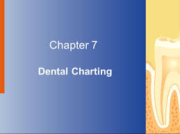 Chapter 7 Dental Charting Ppt Video Online Download