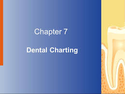 chapter 7 dental charting ppt video online download