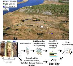 Almost 90% of the wind situations are uniformly distributed. Soil Viruses Are Underexplored Players In Ecosystem Carbon Processing Msystems