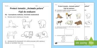 Populatiile de morse traiesc in atlanticul si pacificul de nord, in apropierea costelor canadei, groenlandei si rusiei. Evaluare Animale Polare FiÈ™Äƒ De Lucru Teacher Made