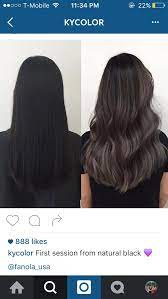 Ash Charcoal Tones On Virgin Black Hair Hair Styles Balayage Hair Lilac Hair