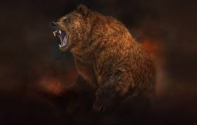Bear down, chicago bears is the fight song of the chicago bears of the national football league. Chicago Bears Wallpaper Wallpaper Sun