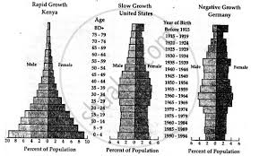 This pyramid shows low fertility and mortality rates that remain balanced or unchanged. Explain The Diagram Of A Population Pyramid Also Show The Three Types Of Pyramids Geography Shaalaa Com