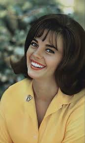 The great race 1965 movie