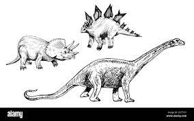 cartoon illustration diplodocus dinosaur prehistoric banque d image et photos alamy page de livre coloriage crayons