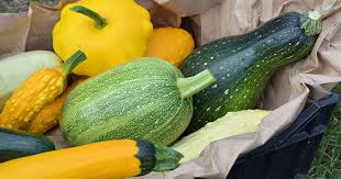 I enjoy a morning game of squash more than these examples may contain rude words based on your search. 21 Of The Best Summer Squash Varieties Gardener S Path