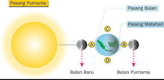 Check spelling or type a new query. Pasang Surut Air Laut Pengertian Teori Jenis Dan Tipe