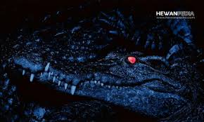 Maybe you would like to learn more about one of these? 34 Arti Mimpi Bertemu Gorila Menurut Primbon Jawa Hewanpedia