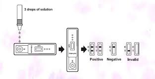 4,213 rapid test device products are offered for sale by suppliers on alibaba.com, of which pathological analysis equipments accounts for 28%, clinical analytical instruments accounts for 8. Chlamydia Dipro International Medical Products