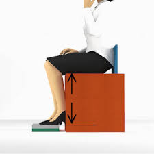 Image result for Sitting Height