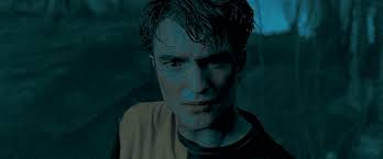 14 Harry Potter Quotes Made Hilarious By Changing 'Wand' Into 'Willy'