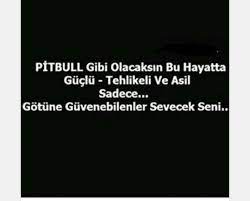 esra adli kullanicinin eses panosundaki pin guzel soz yazar sozleri ozlu sozler