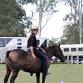 Horsemanship Camp Oct 25th to 28th Calliope Qld event image