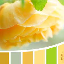 Color 201 Paletas De Color Amarillas Paletas De Colores Paleta De Color Verde
