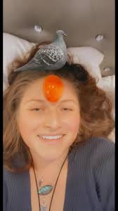 Crystal Method I Am Like A Bird