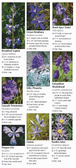 Search the participants by using the dropdown menu selections. Wildflowers Of Washington S Cascade And Olympic Mountains Quick Reference Publishing