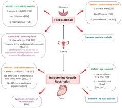 Qld lockdown update / brisbane lockdown update tod. Involvement Of Novel Adipokines Chemerin Visfatin Resistin And Apelin In Reproductive Functions In Normal And Pathological Conditions In Humans And Animal Models Abstract Europe Pmc
