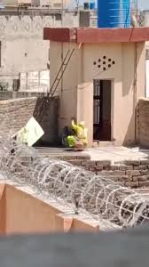 Desi aunty comes outside to piss - ThisVid.com