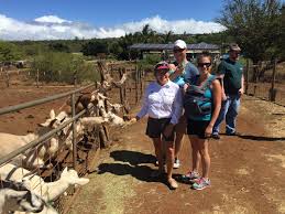 Surfing Goat Dairy Is Located On The Slopes Of Maui S Haleakala Crater In Lower Kula And Has Been Producing Maui Gourmet Goat Cheeses For With Images Maui Hawaii Vacation