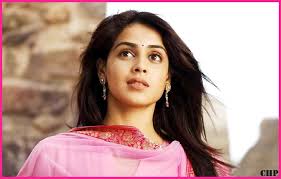 wallpaper pelho hd wallpaper of genelia dsouza hot 1024 768 jenelia wallpapers 63 wallpapers adorable wal genelia d souza cute girl face bollywood actress hd wallpaper of genelia dsouza hot 1024