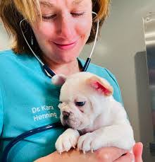 Kara Henning's Instagram, Twitter & Facebook