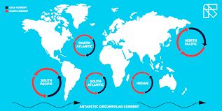 It is known as the great pacific garbage patch. Plastic The Great Pacific Garbage Patch The Conscious Challenge