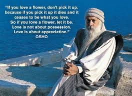 Osho love quotes live life in its totality and living in the world don t be if you love a flower don t pick it because if you pick it up it dies 25 of the most insightful osho quotes on life love and happiness. 52 Best Osho Quotes On Love Life And Fear With Images
