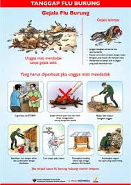 Look through examples of mendadak sontak translation in sentences, listen to pronunciation and learn grammar. Tanggap Flu Burung Avian Flu Public Awareness Campaign The Communication Initiative Network