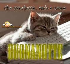 Nuove Immagini Buonanotte Che Stanchezza Buonanotte Citazioni Sui Gatti Foto Di Animali Divertenti With tenor, maker of gif keyboard, add popular stanchezza animated gifs to your conversations. stanchezza buonanotte
